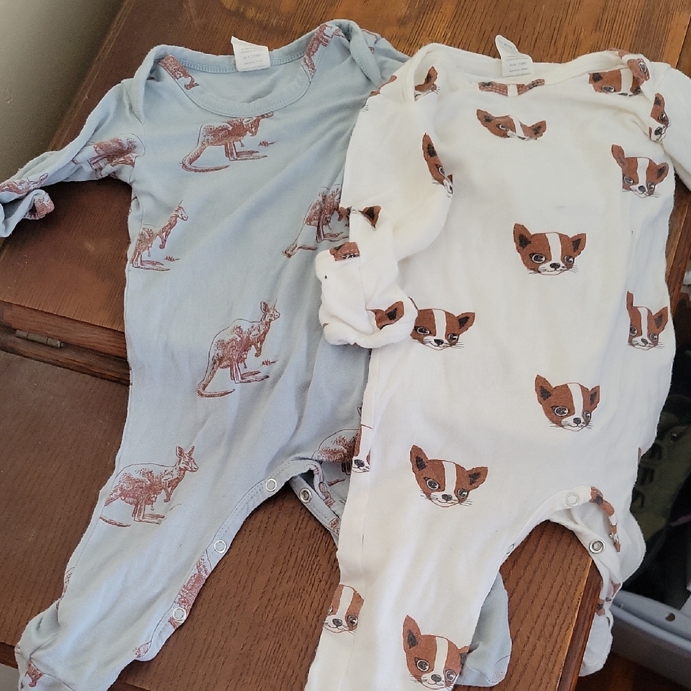Kangaroo and Puppy Print Kate Quinn